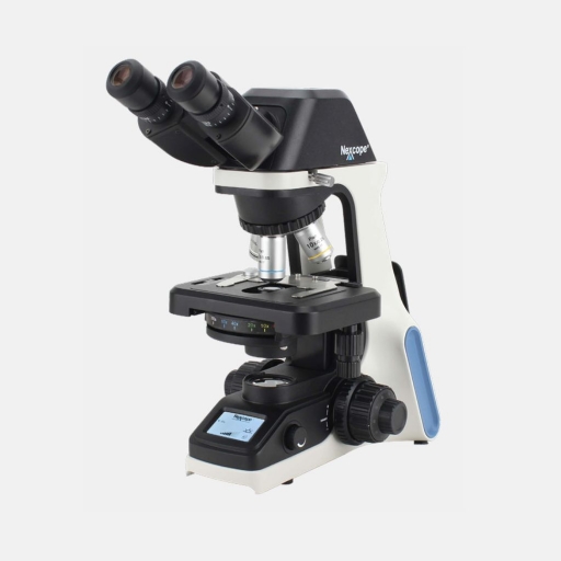 NE300
